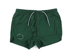 Liewood garden green badeshorts Aiden UPF 40+